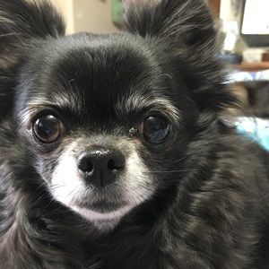 Meet your Posher, Kendra